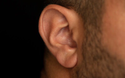 The Biology of Tinnitus: Healthy vs. Damaged Ears