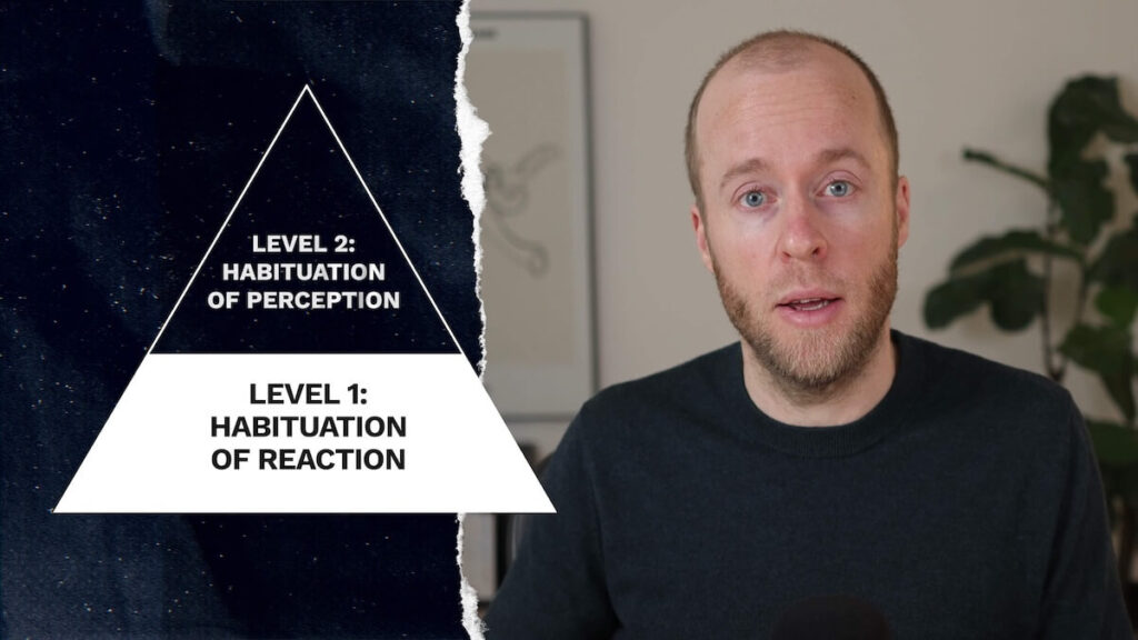 Two levels of tinnitus habituation: reaction and perception