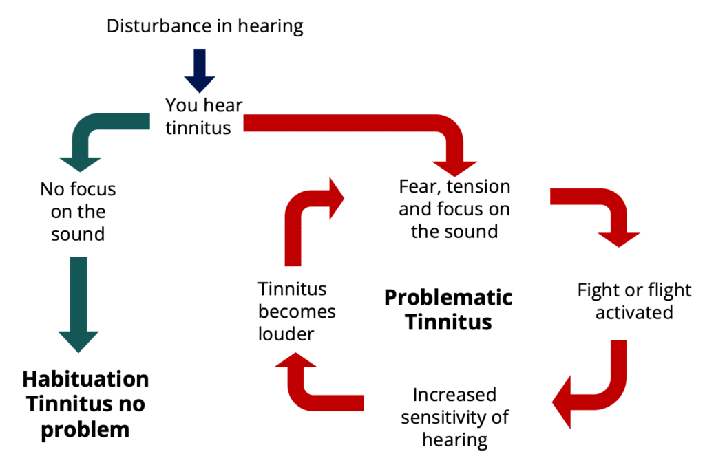 A visual description with arrows explaining how the same tinnitus can cause a huge problem in one person and not at all in the other