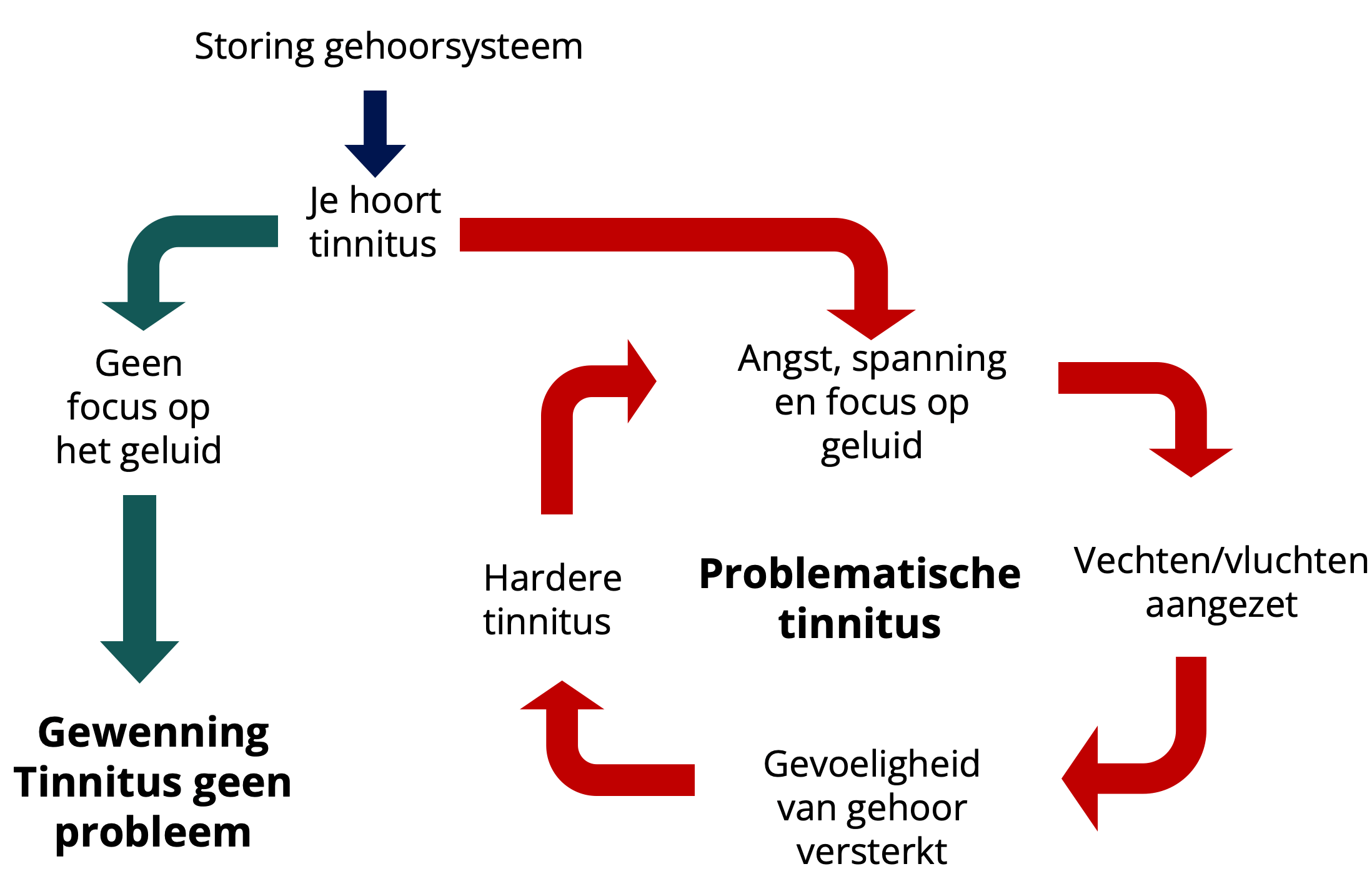Stroomdiagram dat twee tinnituspaden toont: één leidt tot gewenning (Tinnitus geen probleem) en het andere tot Problematische Tinnitus via angst, focus en zenuwstelselactivatie