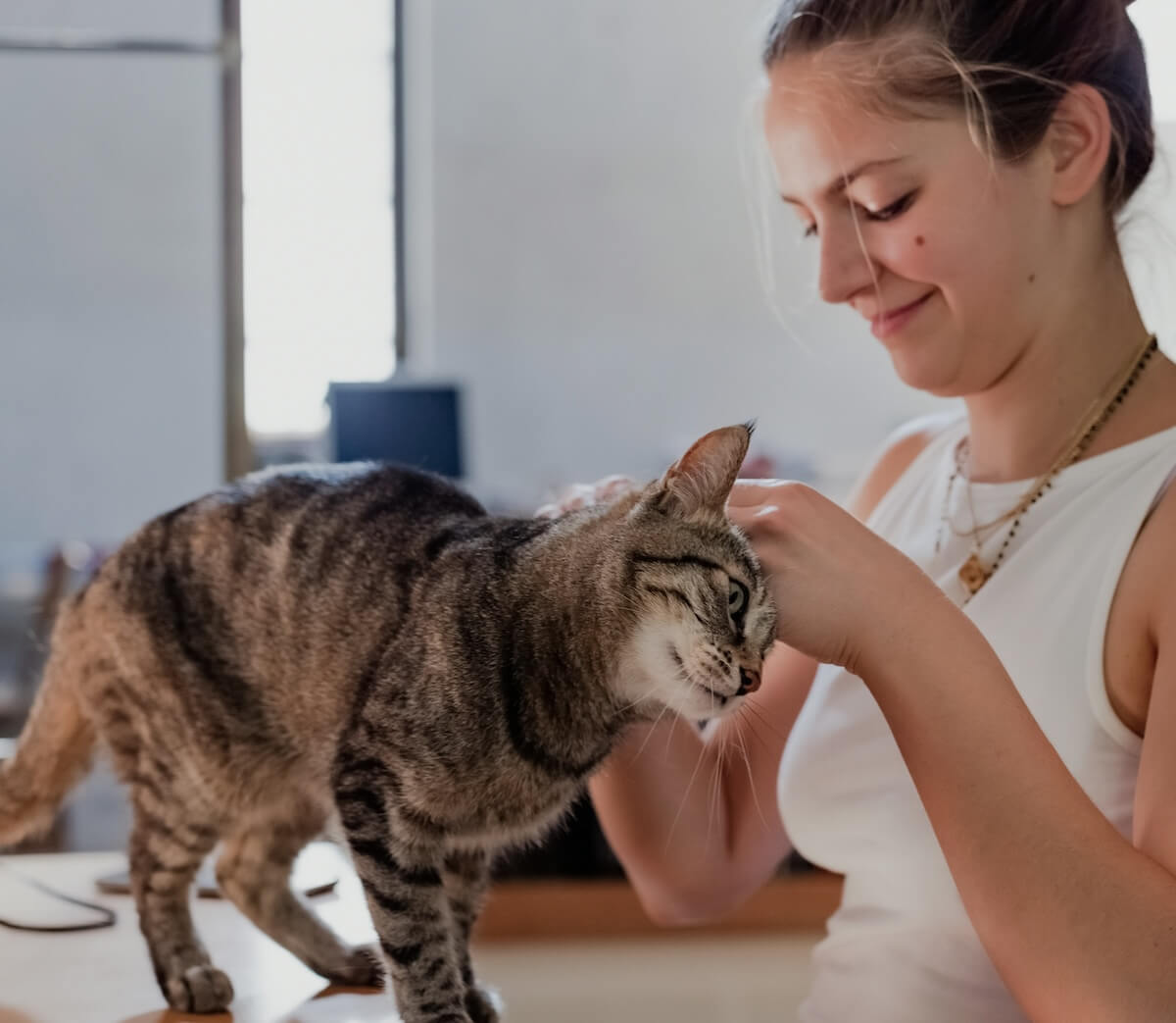 Vrouw die een huiskat aait op een tafel, als visuele weergave van rust en gewenning in gesprekken over het omgaan met tinnitus en het verminderen van stress door middel van gewenningstechnieken.