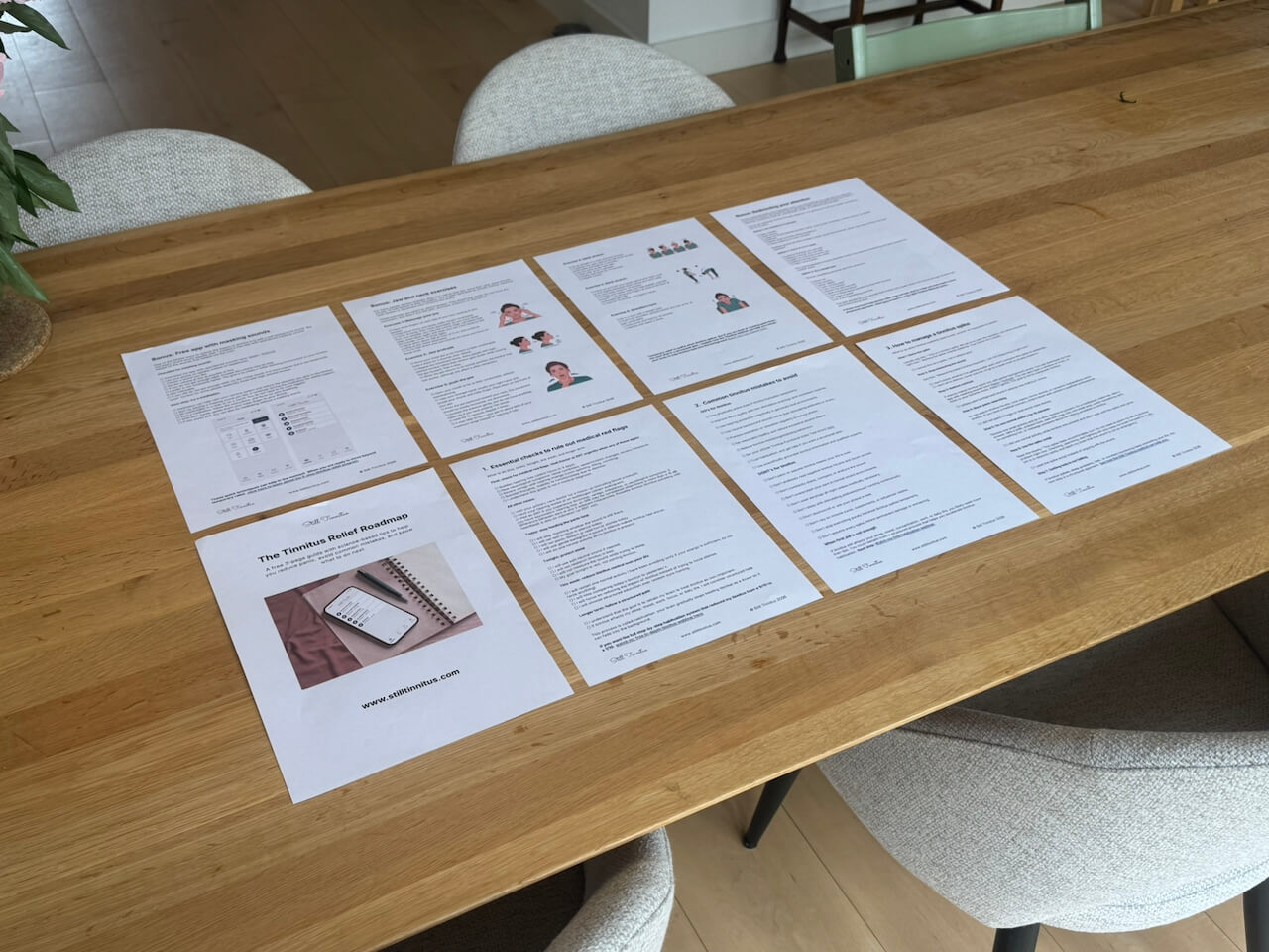 8 pages on a table with images and text showing a tinnitus roadmap from Still Tinnitus by Roel van Gorkum